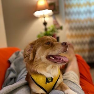 Meet your Posher, Andrea